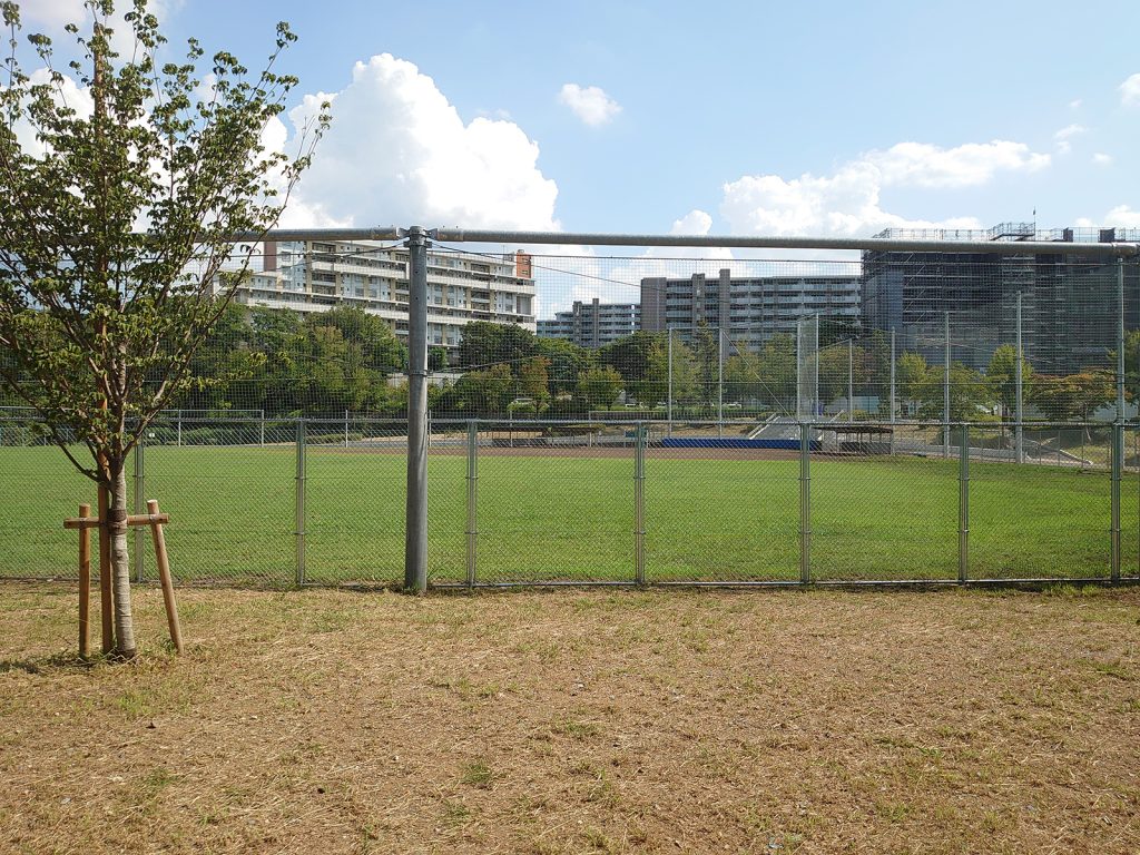 諏訪北公園整備工事